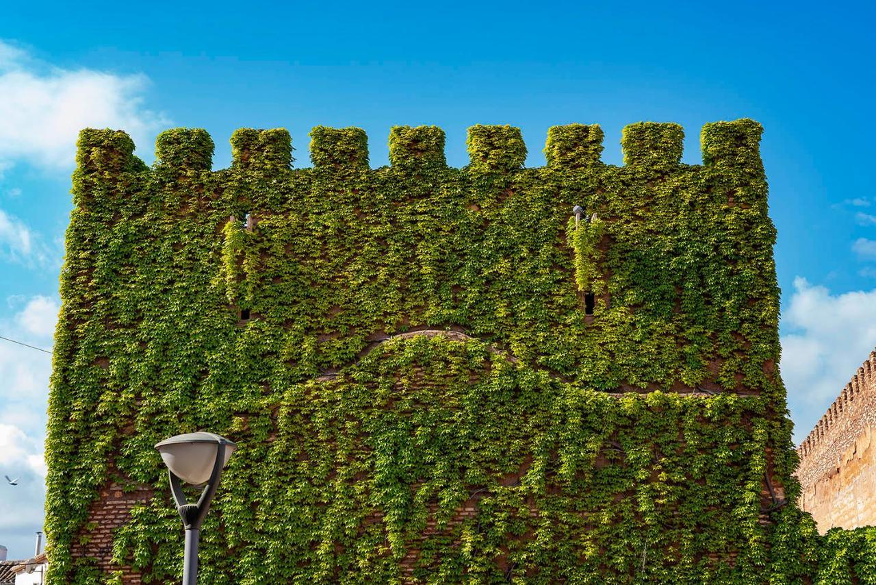 Castillo De Pilas Bonas Мансанарес Экстерьер фото